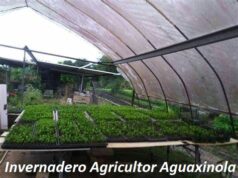 Invernadero Floricultor Aguaxinola