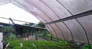 Invernadero Floricultor Aguaxinola