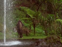 Cascadas El Paraíso