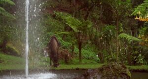 Cascadas El Paraíso