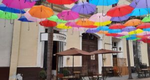 Typica Casa del Café